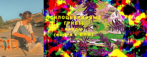хмурый Алексеевка