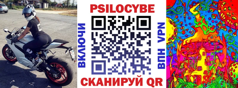 наркотики  Чехов  Псилоцибиновые грибы MAGIC MUSHROOMS 